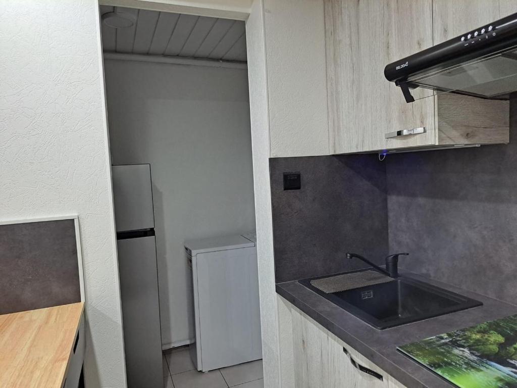 Chez Patrick Et Dominique Apartment Saint-Pierre-en-Faucigny Ngoại thất bức ảnh